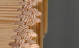 Von Natur aus glänzend ausgestattet