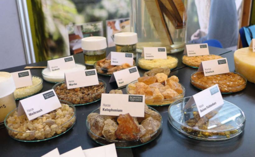 Träume, die der Wahrheit näher kommen