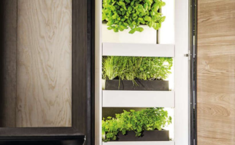 Nicht nur für eingefleischte Vegetarier