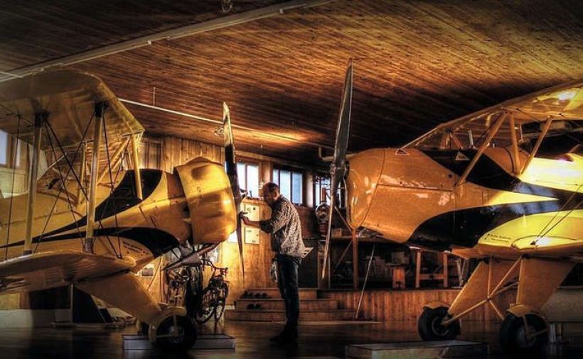 Alter Vogel in speziellem Hangar