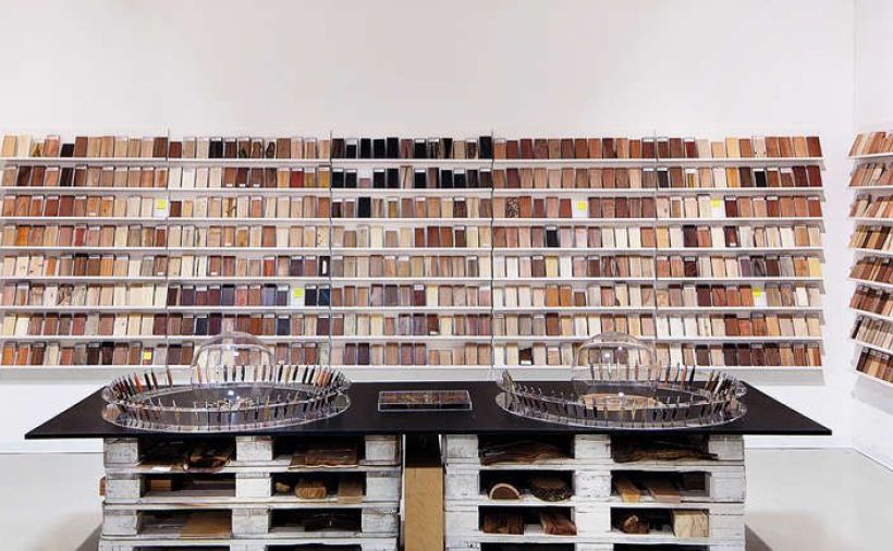 «Holz ist langsam, wir sind schnell»