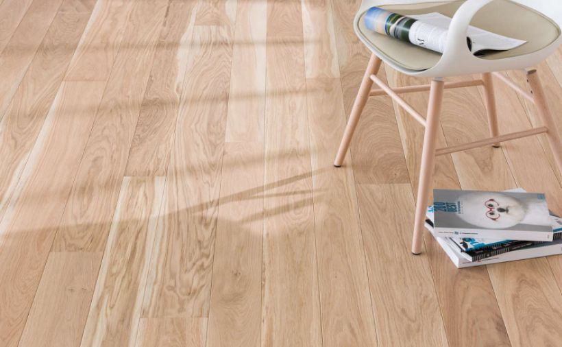 Farbenspiel aus der Natur