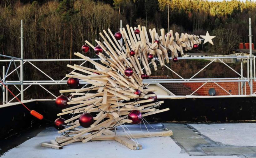 Bäume mit Charakter