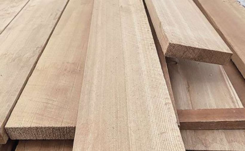 Nur die besten Stücke