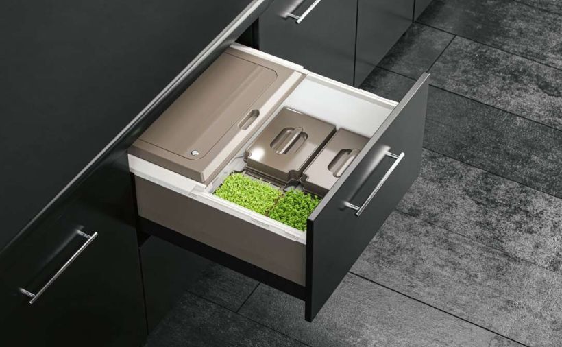 Frische Vitamine aus der Schublade