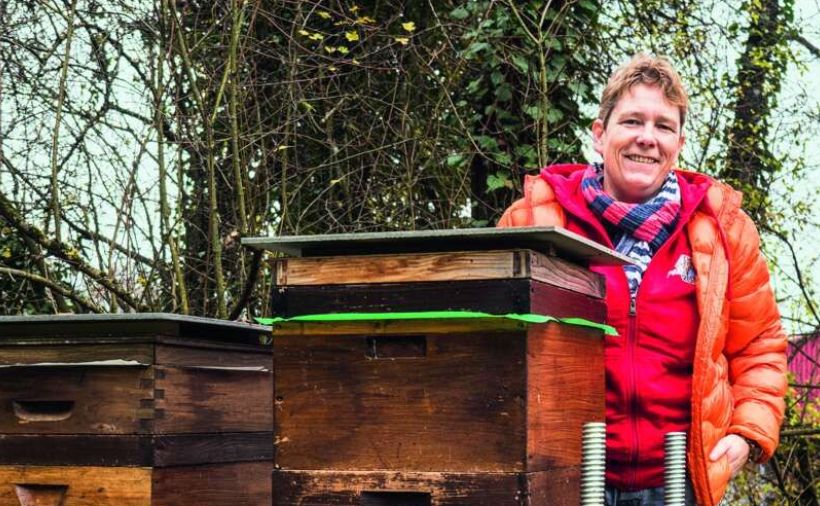 Vom Bildschirm zu den Bienen