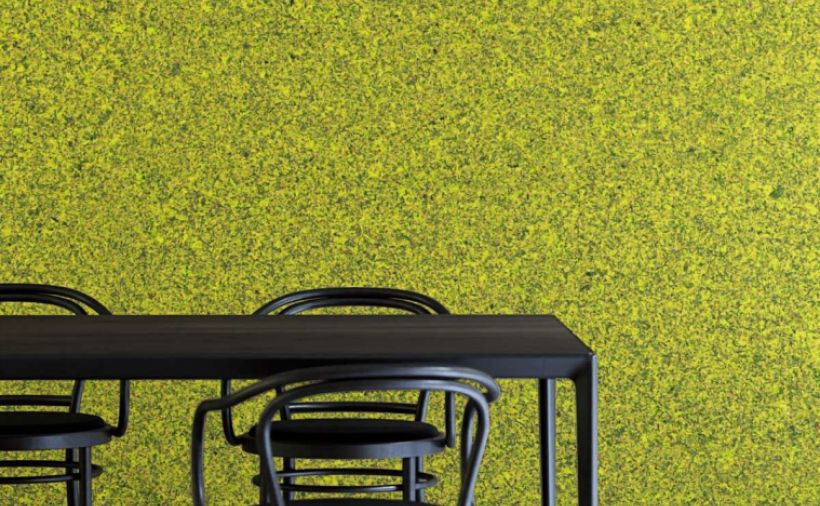 Ein Stück Waldboden