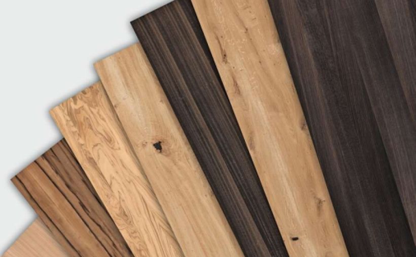 Sechs Neue im Furnier-Express