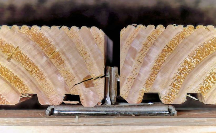 Zwei Krallen für Hartes und Weiches