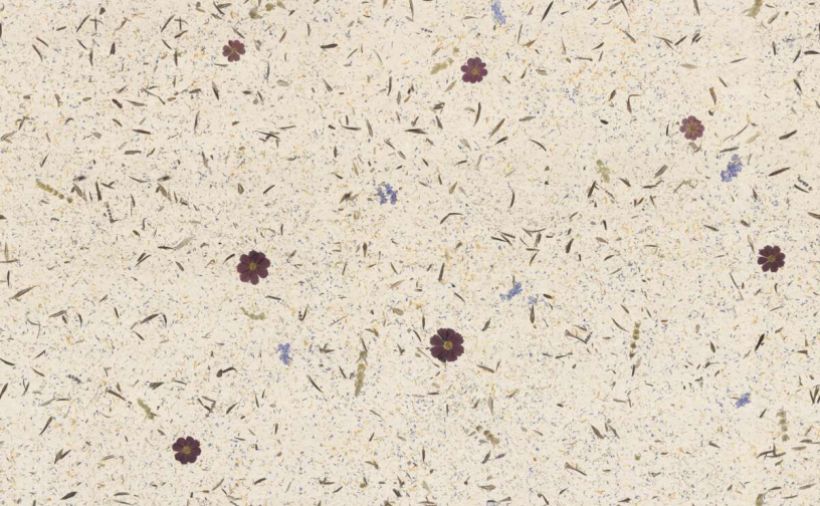 Mediterran duftende Flächen