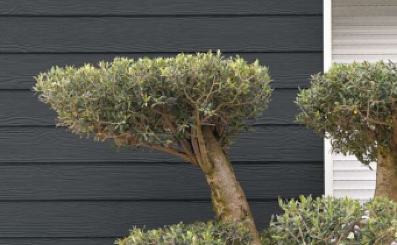 «Holzfassade» aus Faserzement