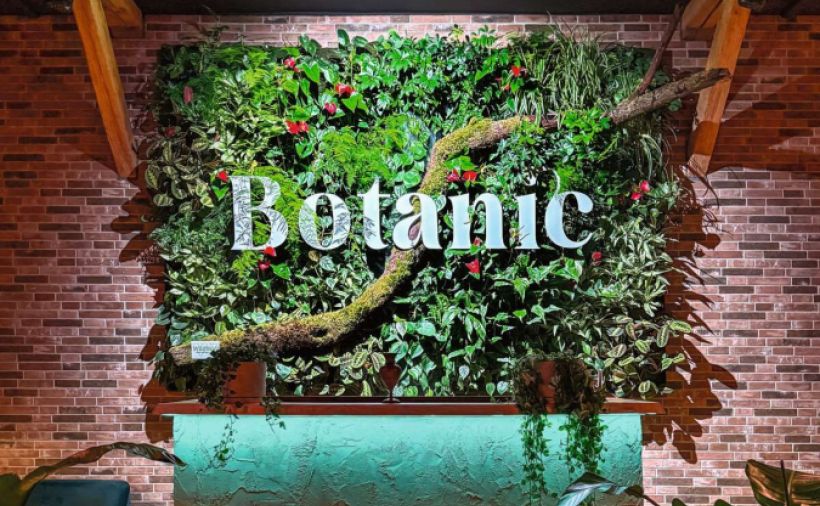 Wo Wände atmen und Räume leben