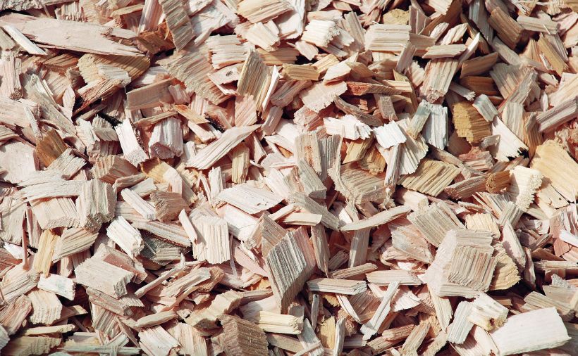 Innerrhoder Ständerat kritisiert Armasuisse