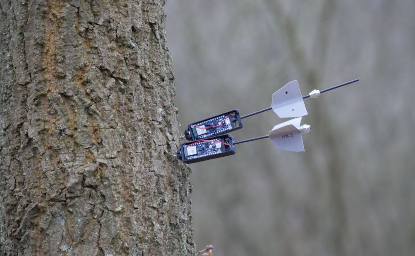 Drohnen zur Überwachung des Waldes