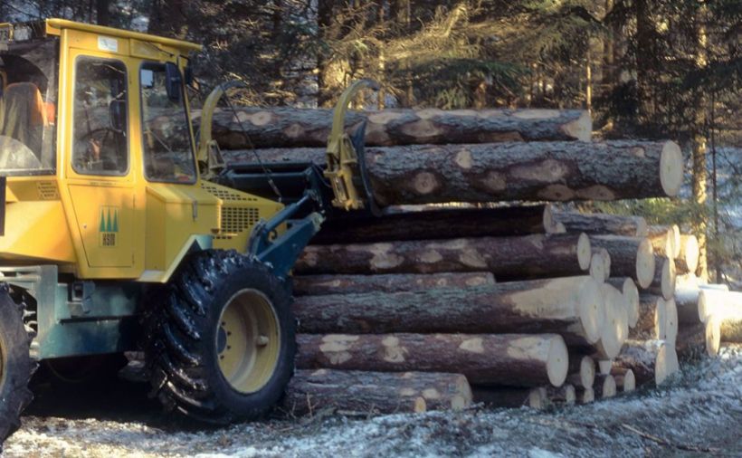 Nationalrat für zusätzliche Mittel zur Waldpflege