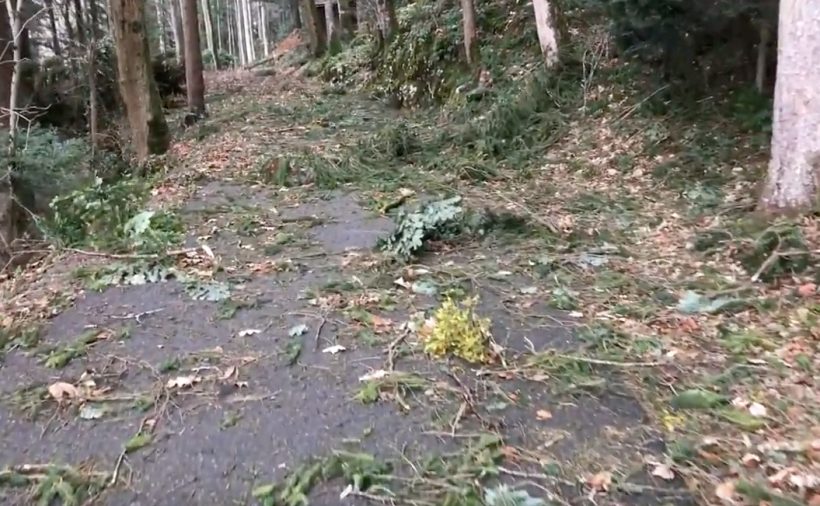 Burglind auf dem Bürgenstock