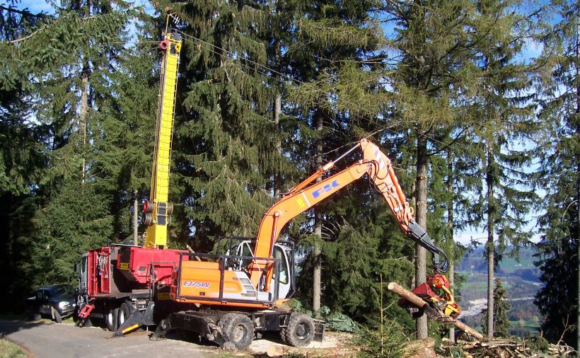 Schon bald mehr Geld für die Waldbewirtschaftung