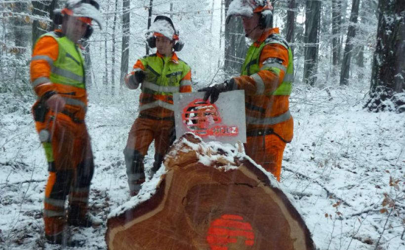 News | SchreinerZeitung – Informatives und Aktuelles rund um die Branche