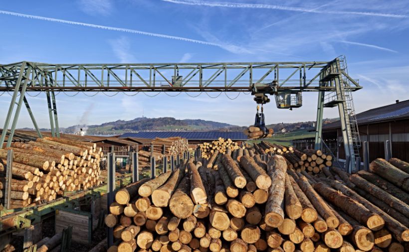 Einheimisches Holz regional verarbeiten