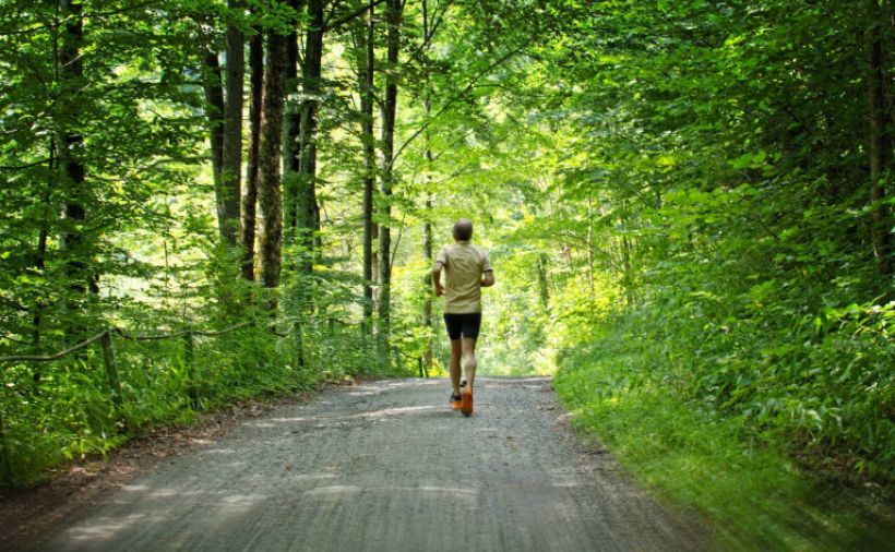 Geld für den Aargauer Wald